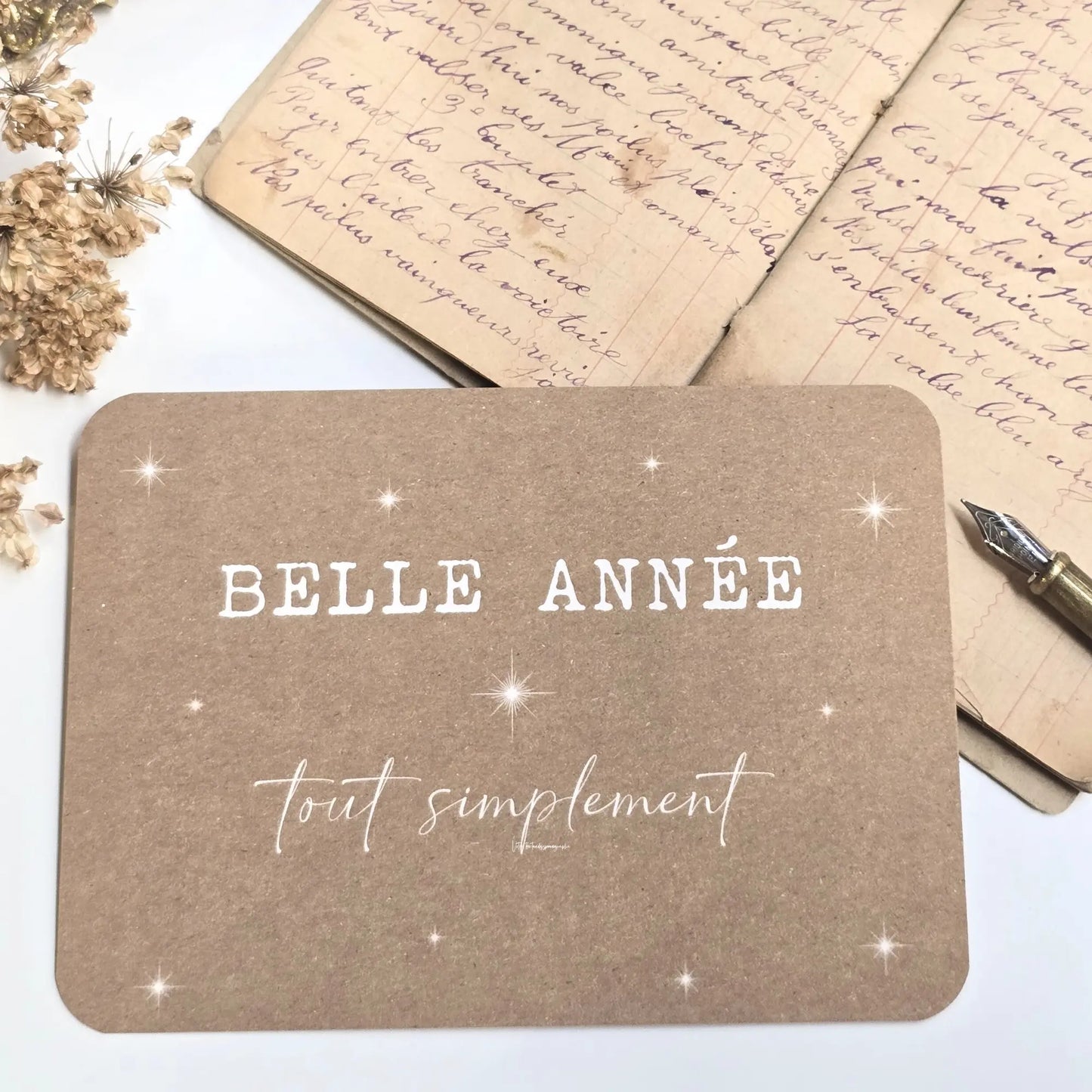 CARTE POSTALE BELLE ANNÉE